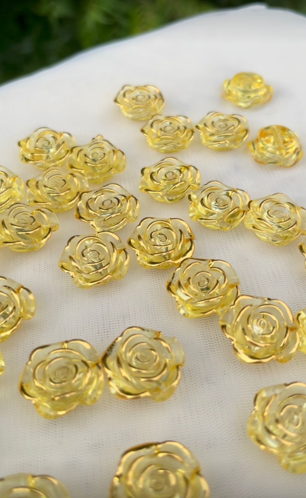 Roses - Yellow