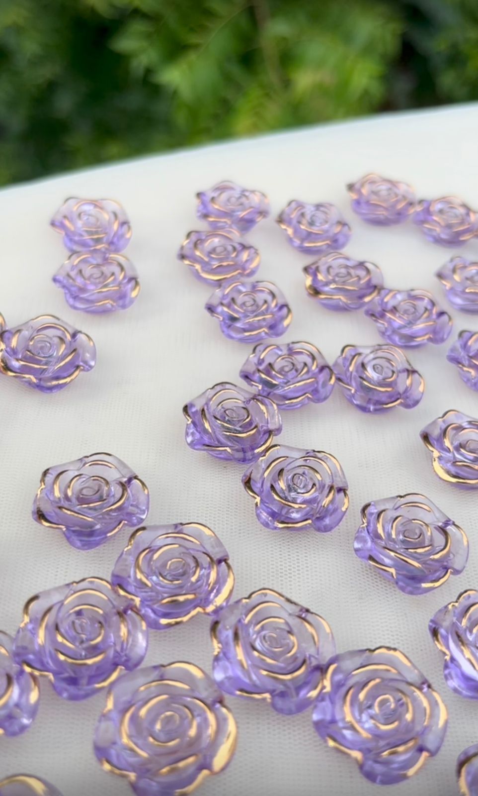Roses - Purple
