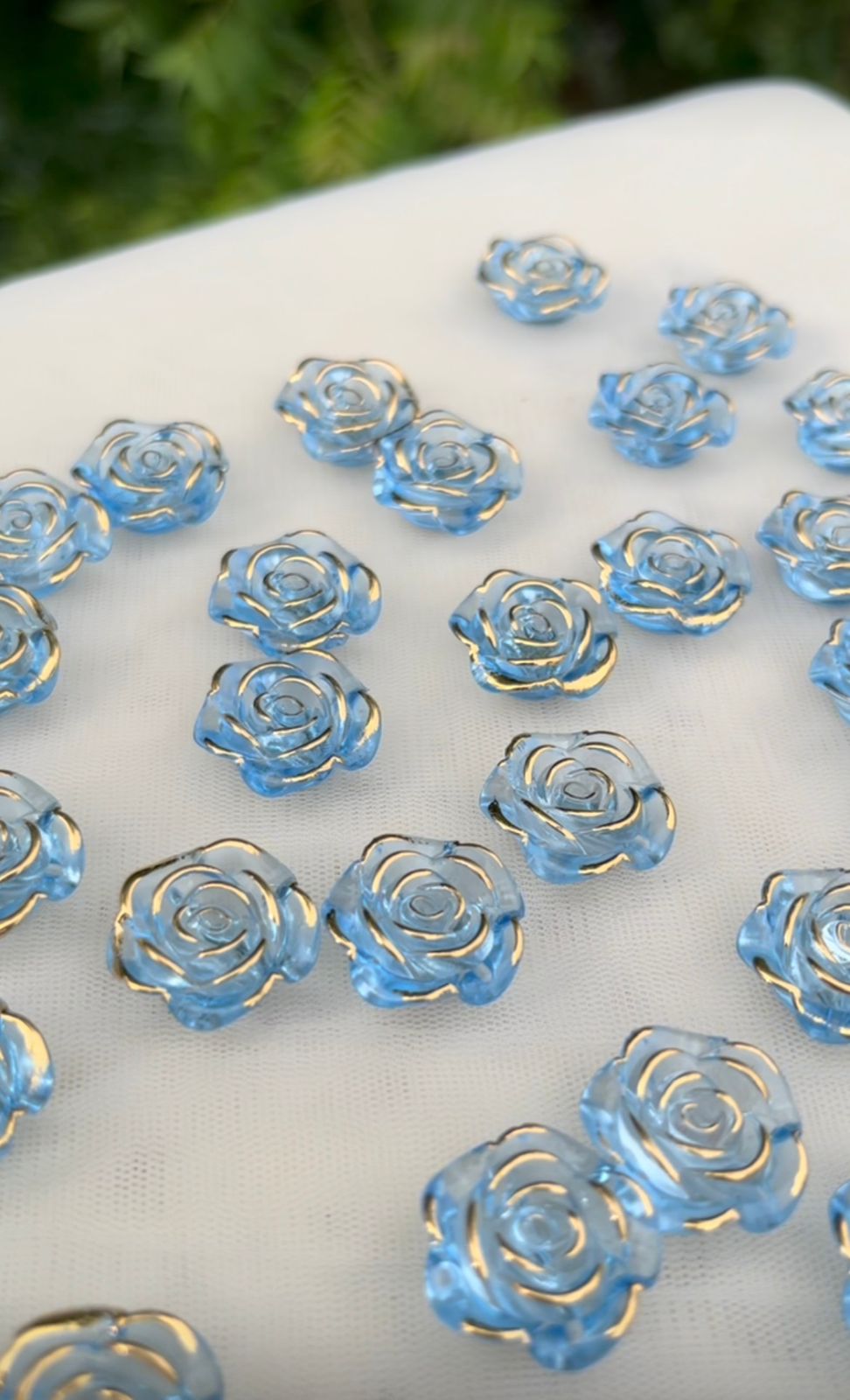 Roses - SkyBlue
