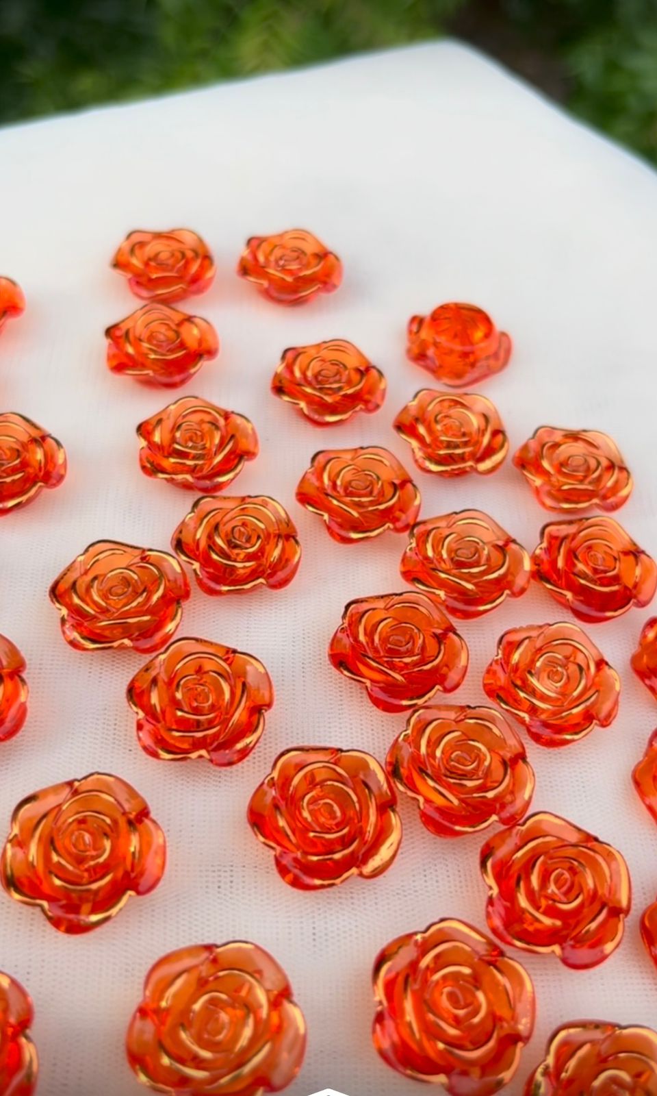 Roses