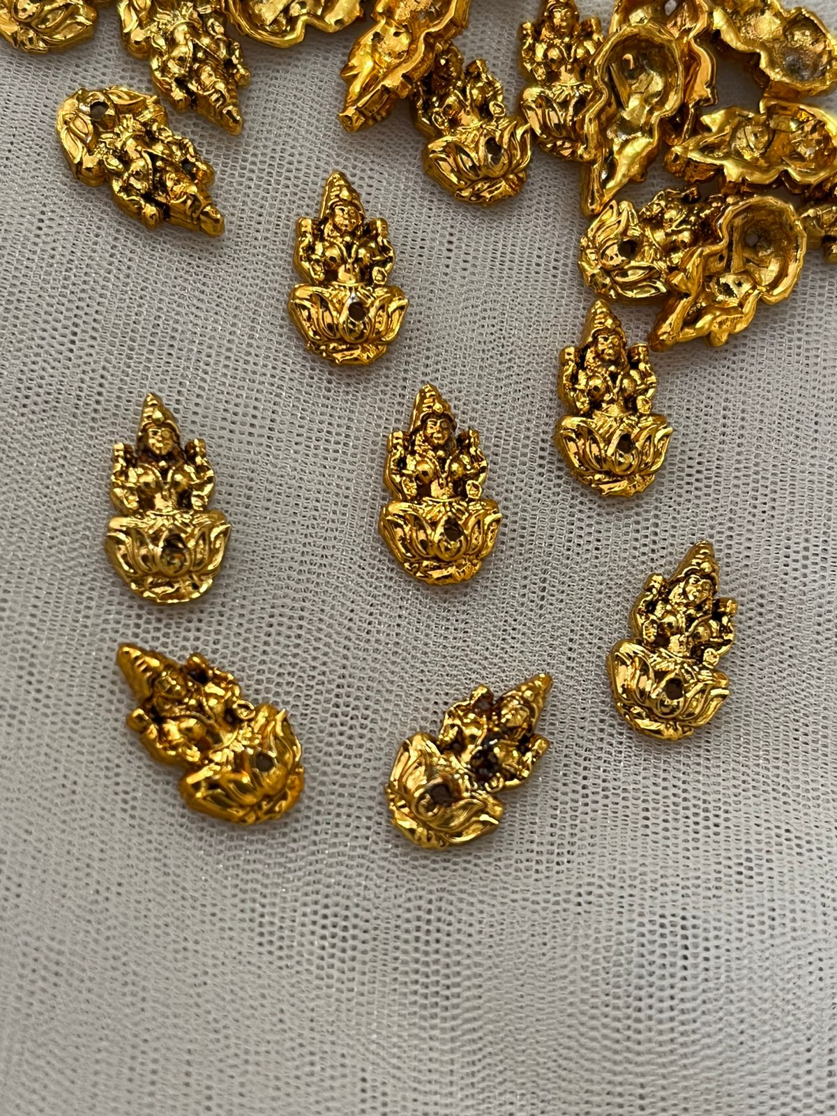 lakshmi small