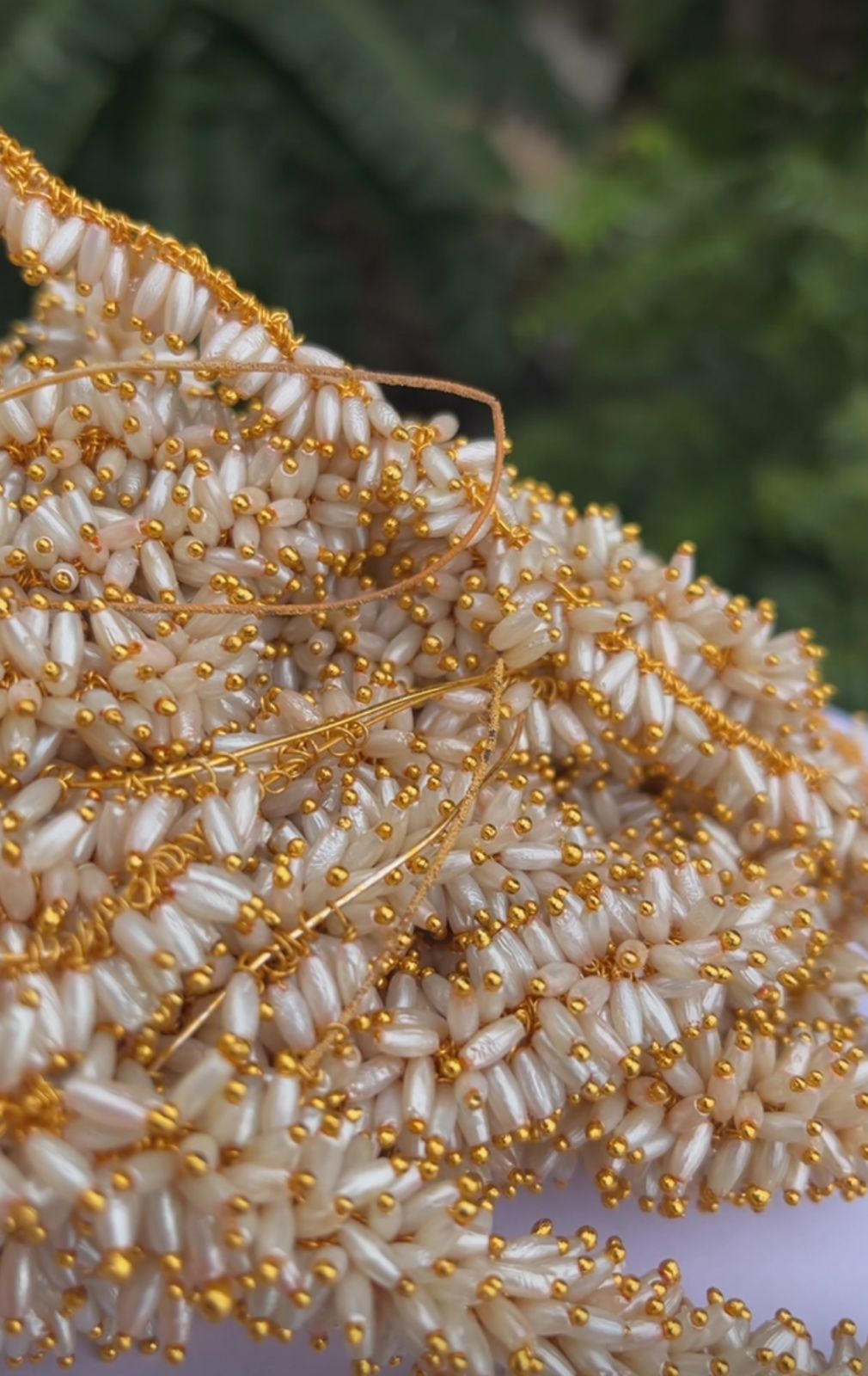 Rice Loreal