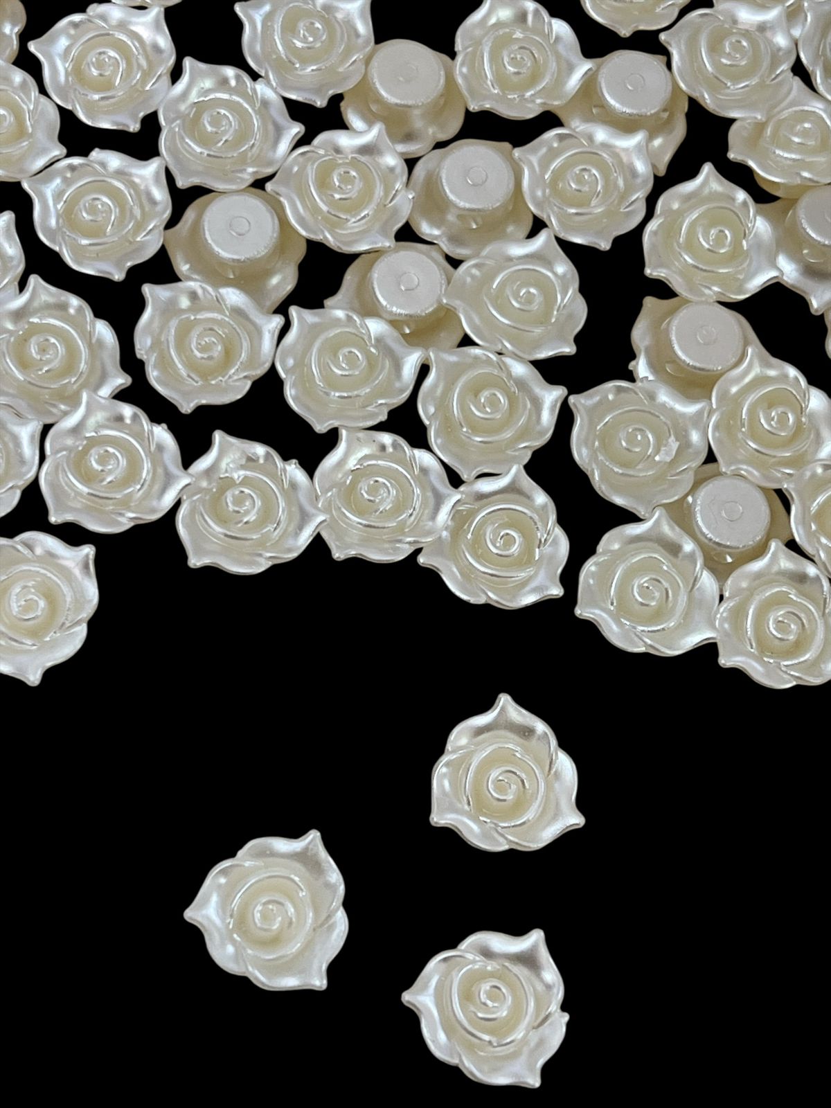White Rose