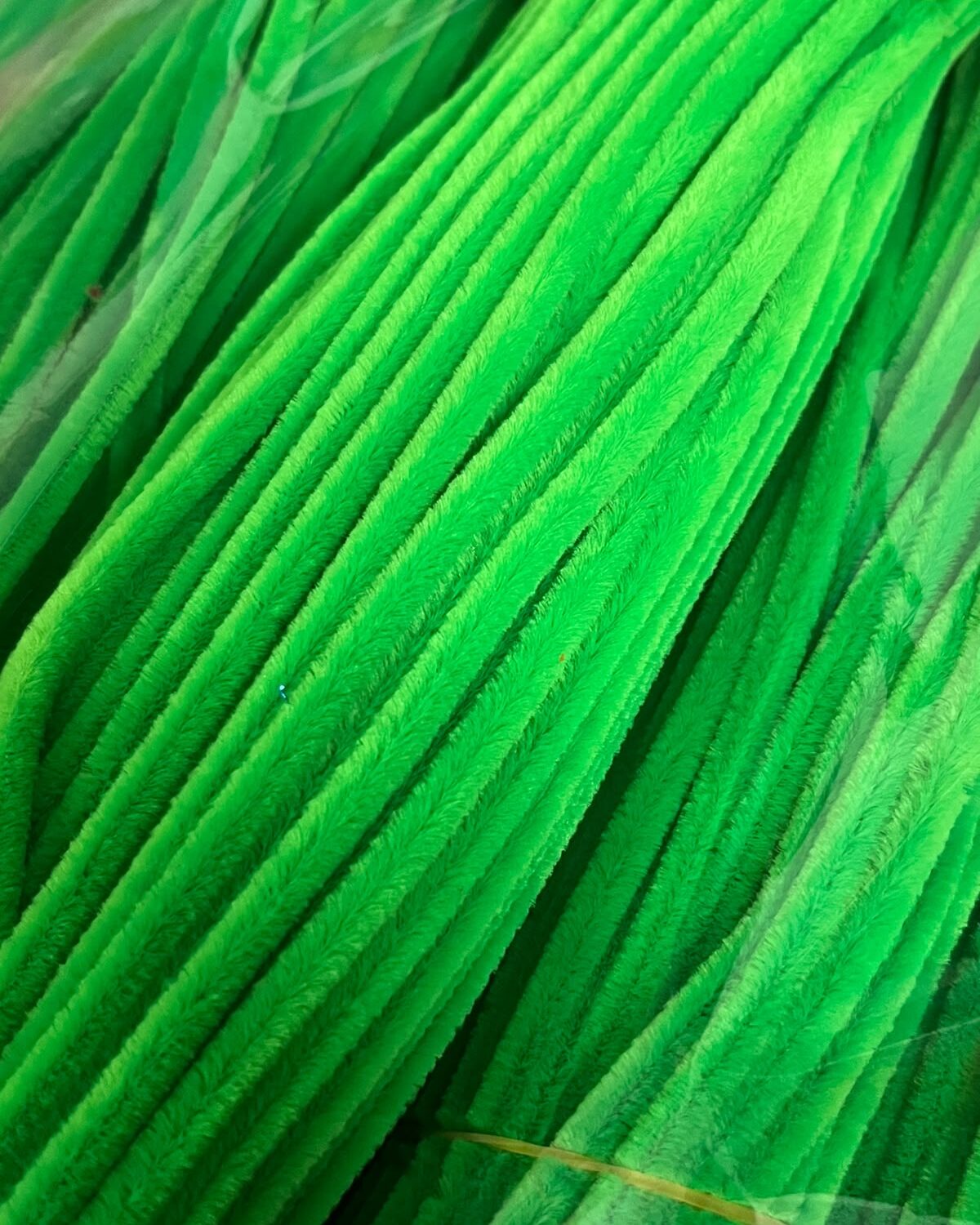 Pipe Cleaner-Parrot Green-1Pack